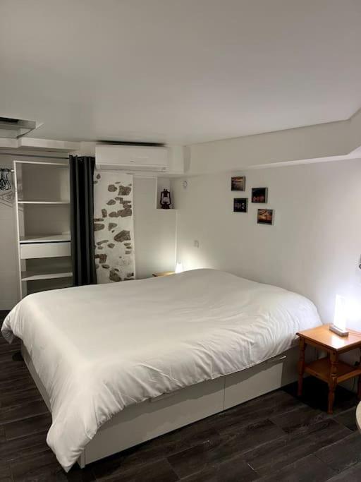 Appartement Climatise Albi - Centre Exteriér fotografie